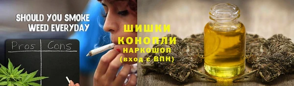 гидра Белоозёрский