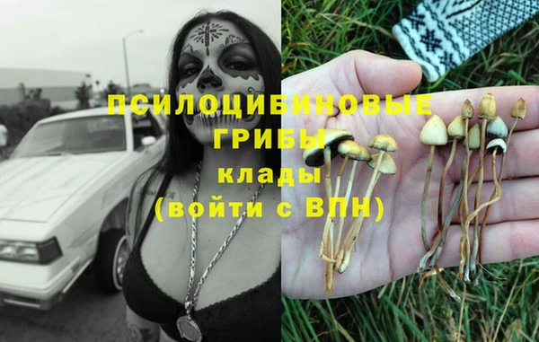 гидра Белоозёрский