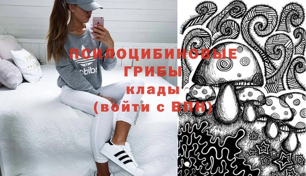 гидра Белоозёрский