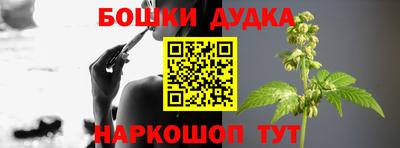 гидра Беслан