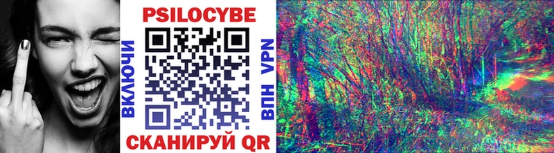 наркошоп  Видное  Галлюциногенные грибы прущие грибы 
