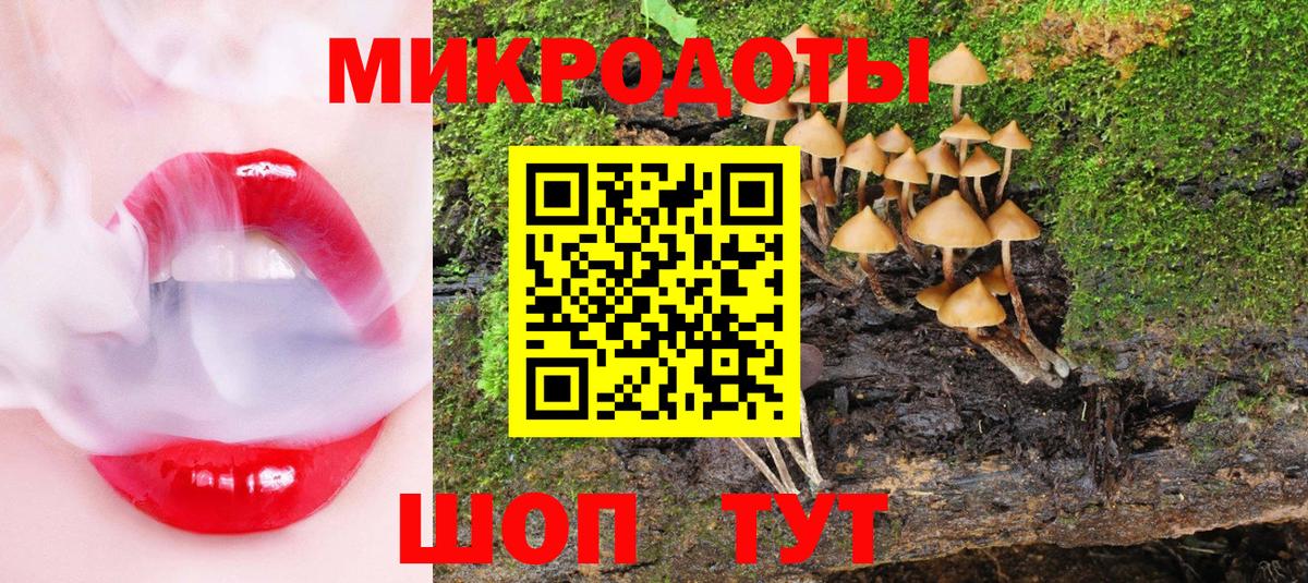 Видное  Псилоцибиновые грибы GOLDEN TEACHER  Вход с VPN 